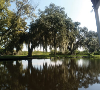 Elder Stories and Cobbler image